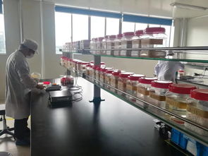 首戰雙11的義烏外貿工廠 按需生產不開網店也賣全國