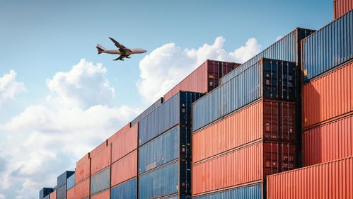 老碼頭煥發新生機 上海羅涇集裝箱港今日開港，綠色智慧賦能北京國際貿易新通道