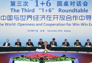 凝聚合作共識 共促全球發展——李克強同主要國際經濟金融機構負責人舉行第三次“1+6”圓桌對話會